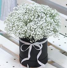 Цветочная композиция из Гипсофила в шляпной коробке в Псекупс